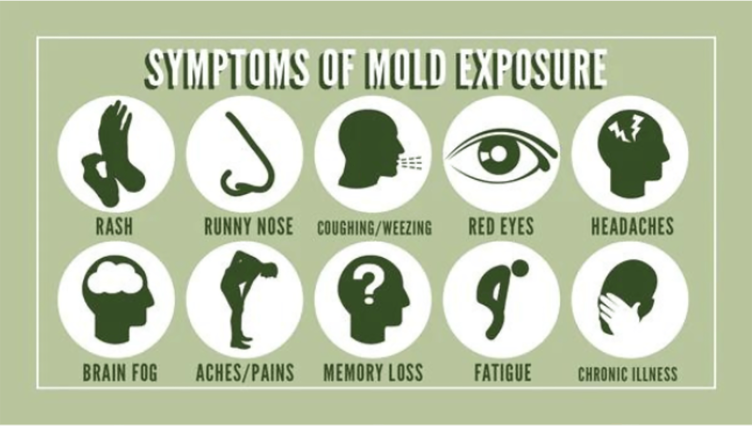 10 Warning Signs of Mold Toxicity | How to Detect and Prevent Exposure